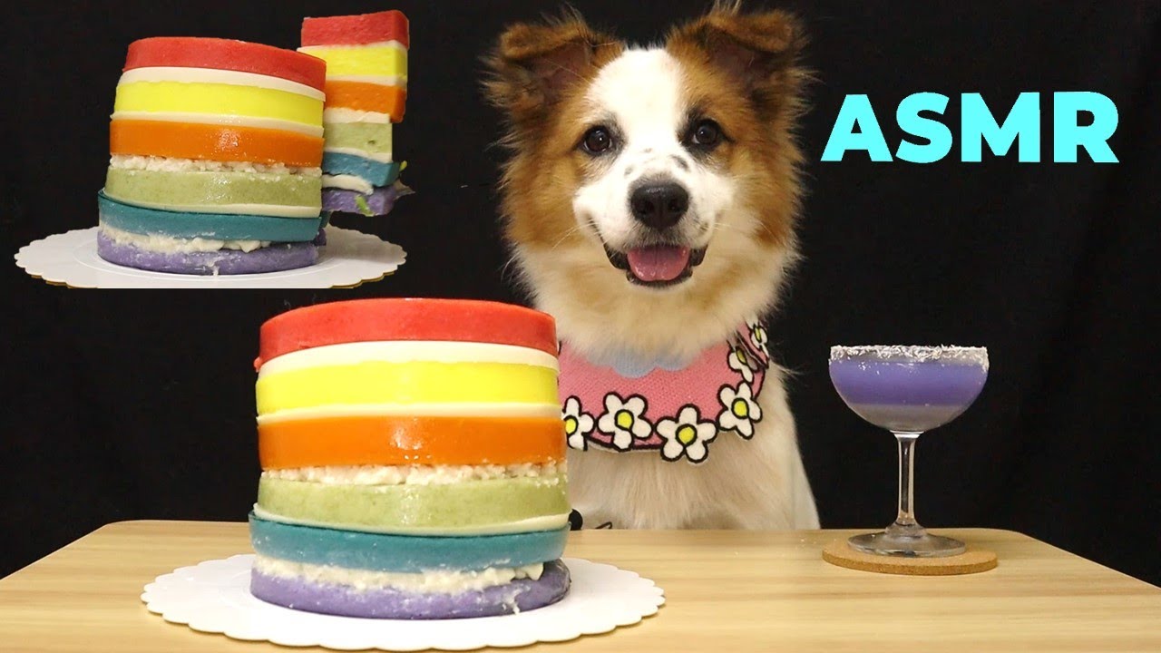 [ASMR] Dog eating RAINBOW CAKE | satisfying eating real sound, no talking