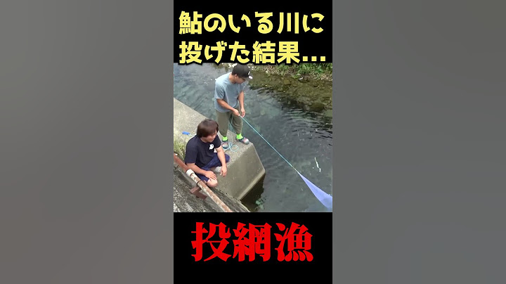 大量の鮎がいる川に網を投げた結果...！！ #shorts
