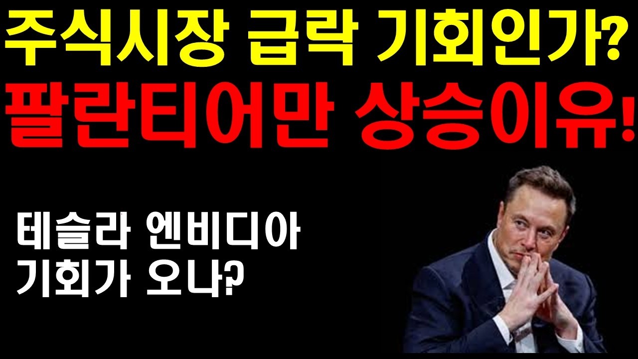 주식시장 급락 줍줍기회인가? 팔란티어만 상승 하고 있는 이유! 테슬라 엔비디아 기회가 오나? 엔비디아 목표주가 큰상승! 머스크 인터뷰 분석! 인도에서 FSD의 위엄을 보라!