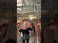 Carrying Half Pork To Cold Truck!
