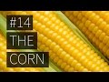 Simple facts about corn