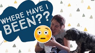 What Happened? Where Have We Been? @BeckysAnimals