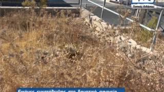 Εικόνες εγκατάλειψης στο Δημοτικό σφαγείο Καλύμνου 06-09-2013