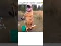 How deep is that bucket? @Kentuckyballistics #Viral #funny #meme #fyp #shorts #trending