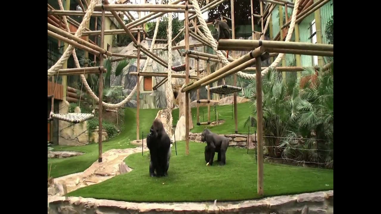 Reduction Billet Zoo Saint Martin La Plaine
