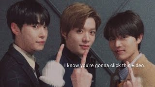 NCT as vines (OT23)