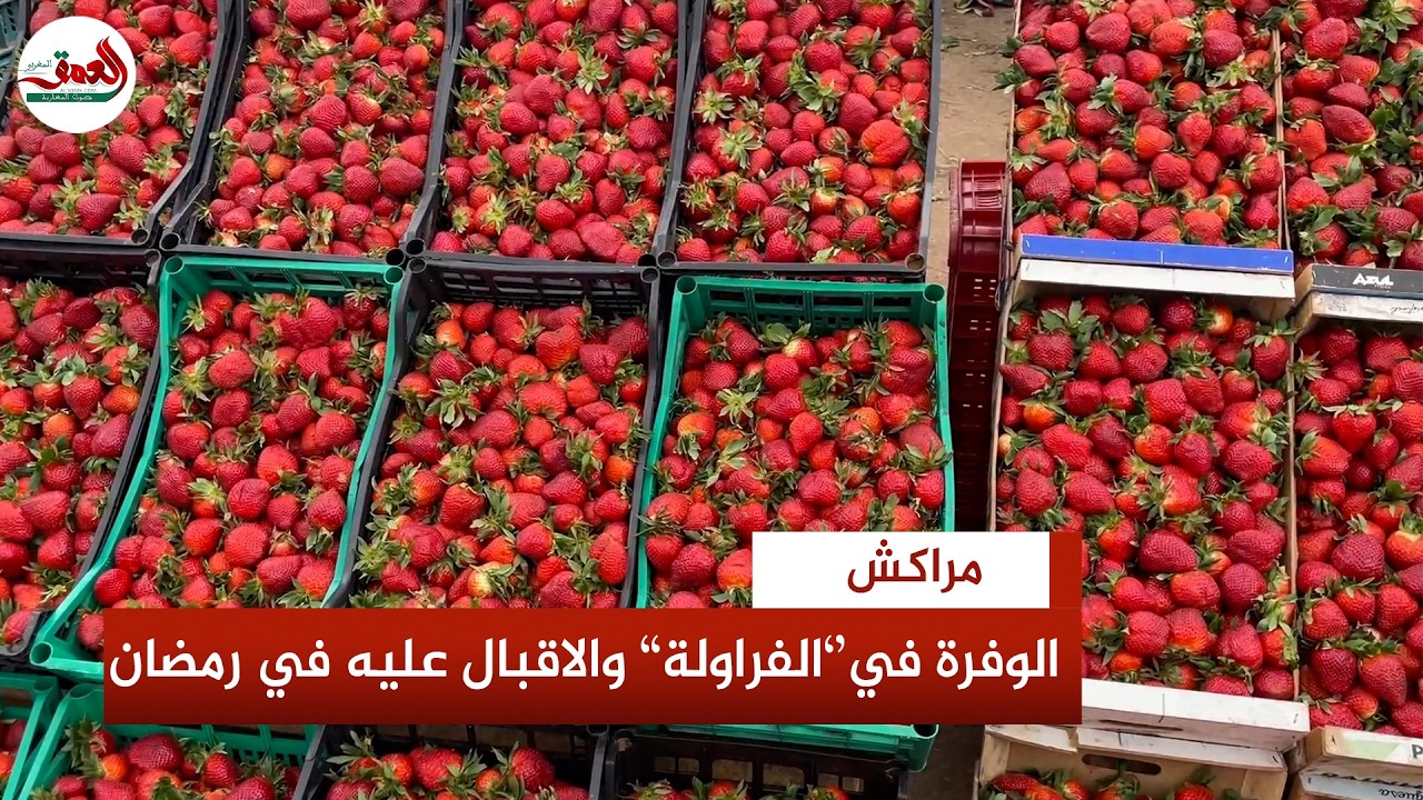 بعدما وصل ثمنه إلى 40 درهما للكيلو.. بائع  يؤكد وفرة الفراولة وانخفاض ثمنه بسوق الجملة بمراكش