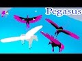 Let's Play Horse Riding Roblox Horses Game Video - Be a Magical Pegasus - Honeyheartsc