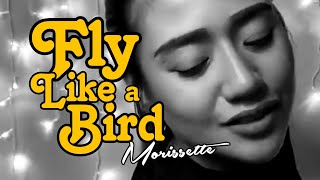 FLY LIKE A BIRD [ MORISSETTE AMON ] OFFICIAL MUSIC VIDEO | INSTRUMENTAL | MINUS ONE @synctunado7856