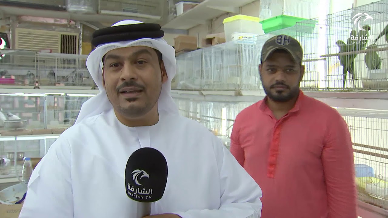 برنامج صباح الشارقة - سوق الطيور والمواشي بالشارقة 19-10-2019