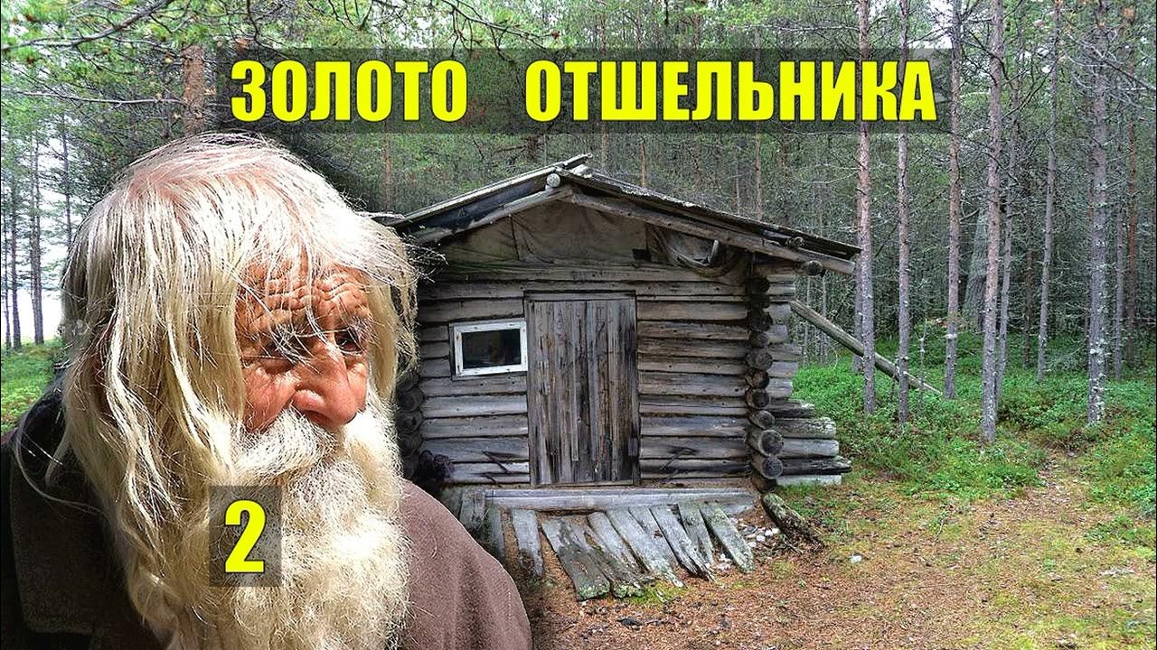 Заимка агафьи лыковой. Отшельник в тайге рассказы. Деревня староверов в глухой тайге. Жизнь в тайге. Отшельники в тайге.