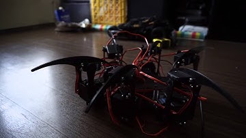 3D Printed Hexapod Stand Test