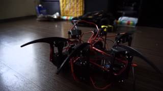 3D Printed Hexapod Stand Test