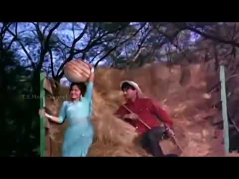 Kaanton Se Kheench Ke Yeh Aanchal   Lata Mangeshkar   Dev Anand Waheeda Rehman   Guide 1965