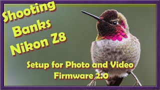 Shooting Bank Setup for the Nikon Z8 for Wildlife using Firmware 2.0 pt 1