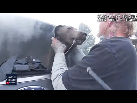 Top Moments Police
