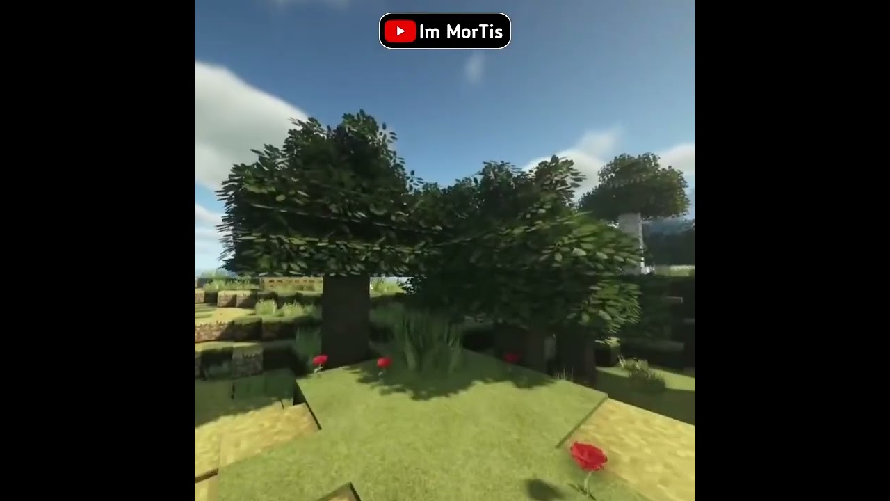 MINECRAFT REAL LIFE TEXTURE-PACK | 