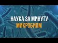 НАУКА ЗА МИНУТУ_Микробиом