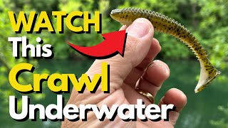Discover a New Way to Fish Swim Baits screenshot 5