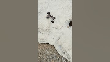 HE SAID WHAT LINE MAZZ DESIGN CHEAT CODE V3 SCX24