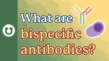 What are bispecific antibodies? #myeloma