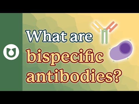 What are bispecific