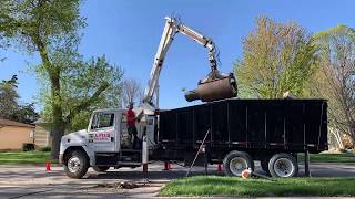 Backyard Maple Removal