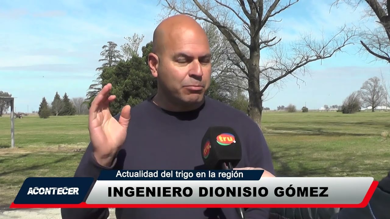 Marcos Juárez: Actualidad del trigo en la región. Más detalles
