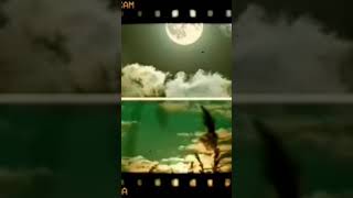 Hüzünlü Kent 18.10.2020 2215