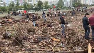 Erdemlide Sel Sonrası Denizden Odun Toplama Telaşı