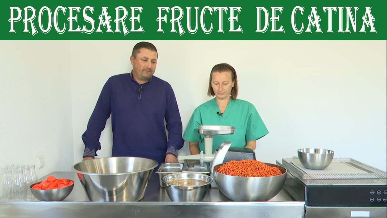 Asa poti obtine Nectar si pudra de Catina la tine acasa