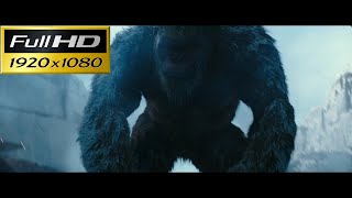 Kong runs to his family?! / Godzilla vs Kong-