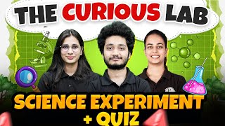 The Curious Lab Science Experiment Quiz Fun Learning