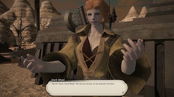 Where Courage Endures - Final Fantasy XIV