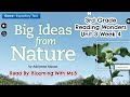 Biomimicry and Innovations Quiz