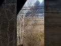 ウクライナ ジャベリン戦果 ロシア軍装甲車両撃破 戦車大隊壊滅 対戦車ミサイル