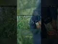 He Thought He Could Walk Away… He Was Wrong #PoliceActivity #Arrest