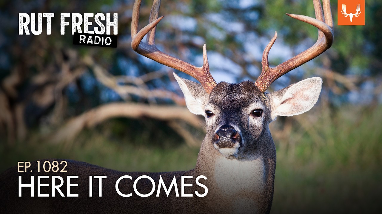 October Is About to Change: Don’t Miss What’s Coming | Rut Fresh Radio Ep. 1082
