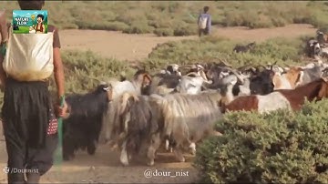The seasonal migration of the Bakhtiari nomads across the iran Zagros Mountains