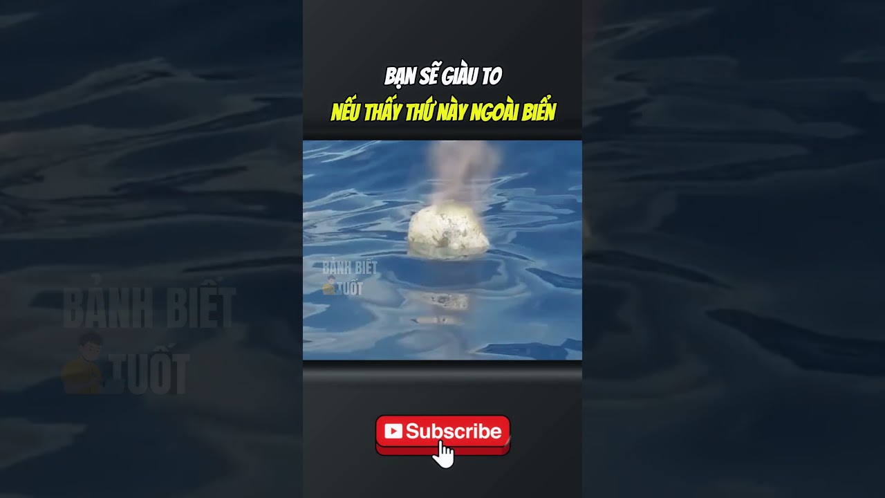 Bảnh Biết Tuốt - Bạn sẽ giàu to nếu thấy thứ này ngoài biển 