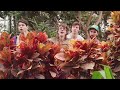 Joe hertler  the rainbow seekers  the garden official