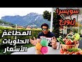 سويسرا زيورخ و افضل المطاعم و الحلويات و الاسعار