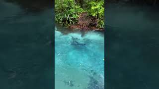 Blue river in Indonesia