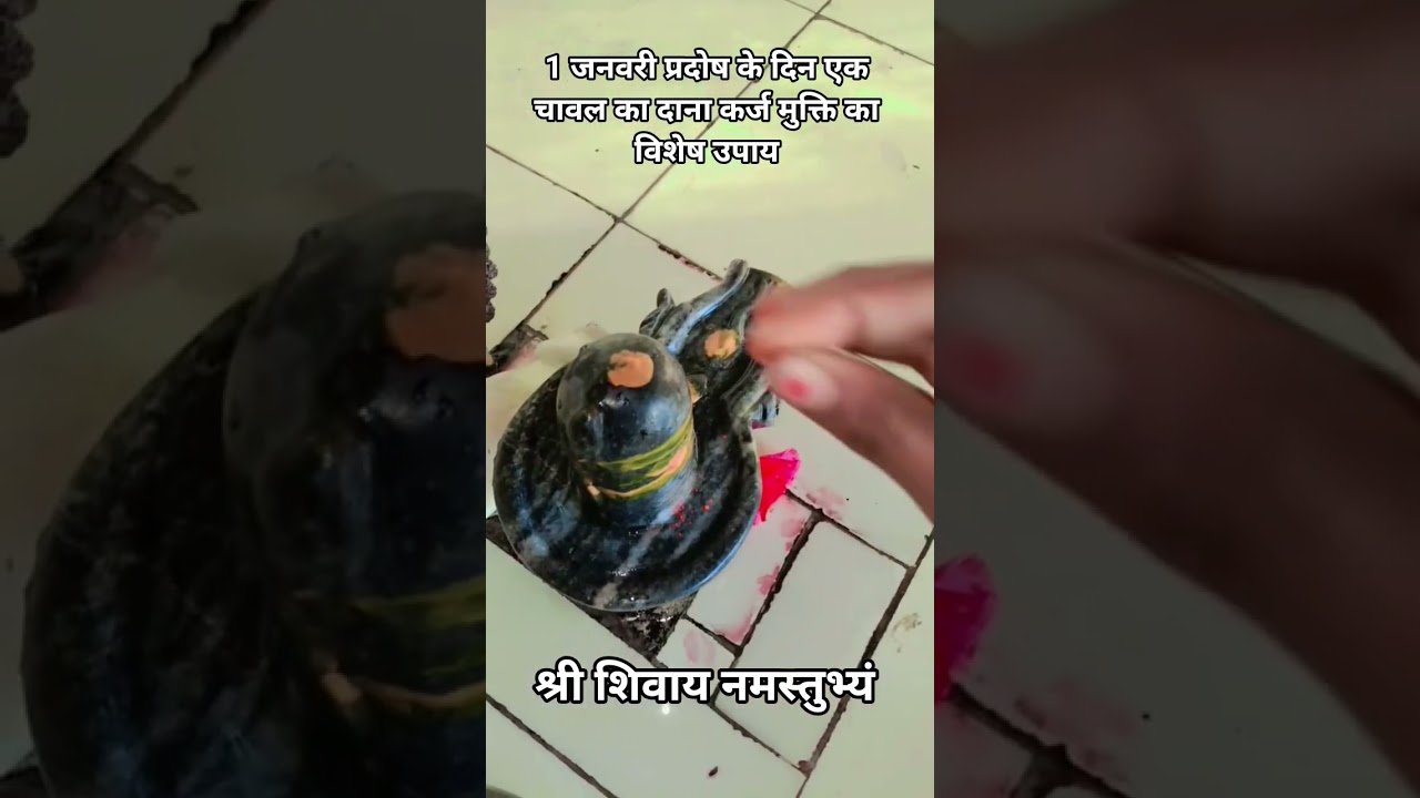 1 जनवरी प्रदोष के दिन एक चावल का दाना कर्ज मुक्ति का विशेष उपाय 