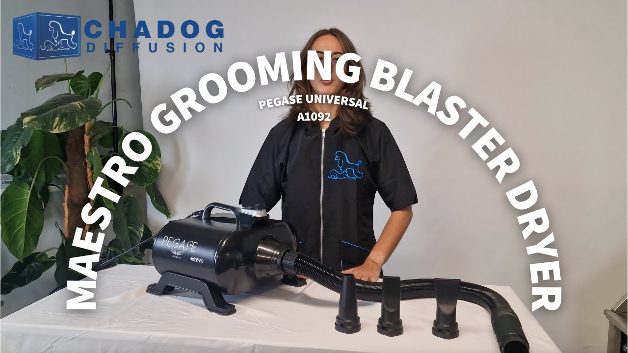 Pegase Universal Maestro Portable Dryer – Chadog Diffusion