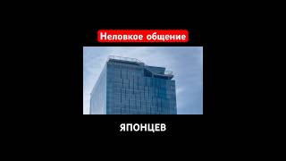Проблема перевода между ЯПОНЦАМИ и ИНОСТРАНЦАМИ #япония #язык #иностранцы #русский #переводчик