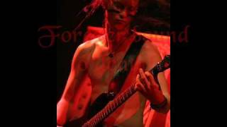 Ensiferum  Tale Of Revenge with S