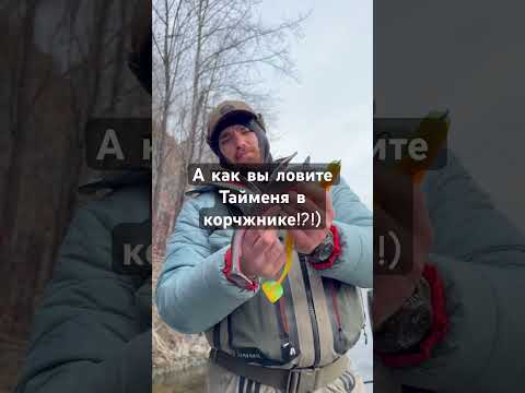 @AntonFishermann все как учил) Ловим тайменя в коряжнике! #таймень #тугур #рекатугур