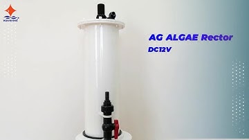 5 Examples of Successful ALGAE Reactor by Wavereef Manufacturer