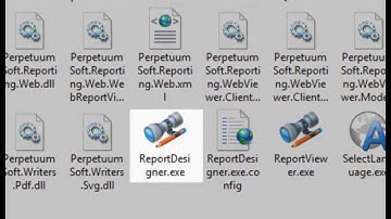 SharpShooter Reports - Creating Group Report - Using Component Out Of Visual Studio